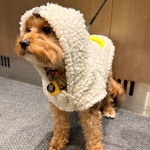 Meet your Posher, Melis